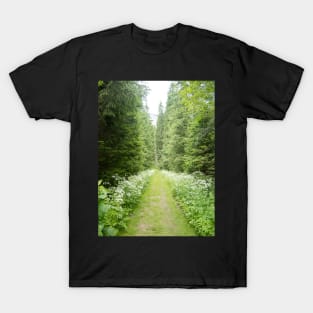 View from Bucegi mountains, Romania, Bucegi National Park T-Shirt